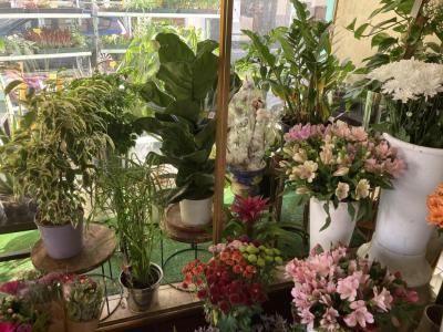 Acheter Local commercial Alfortville 109600 euros