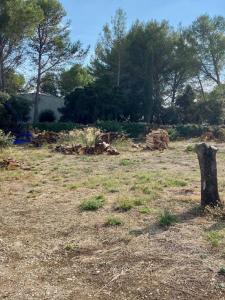 For sale Grans 300 m2 Bouches du Rhone (13450) photo 0