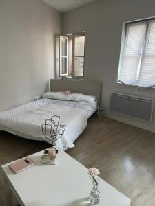 Louer Appartement Toulouse Haute garonne