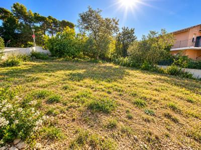 Acheter Terrain 233 m2 Saint-savournin