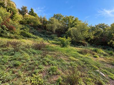 Acheter Terrain 900 m2 Esparron