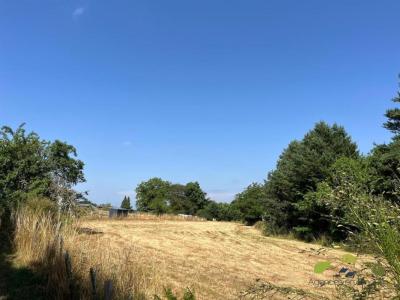 Annonce Vente Terrain Chateauneuf-la-foret 87