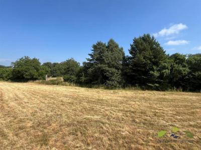 Acheter Terrain Chateauneuf-la-foret 12000 euros