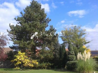 Annonce Vente Terrain Phalempin 59