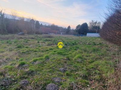 Annonce Vente Domaine forestier Beaurainville 62