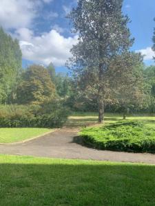 Louer Appartement 23 m2 Avon