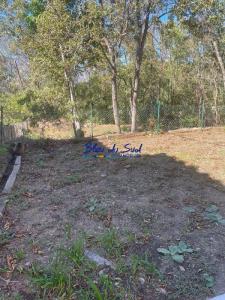 Annonce Location 3 pi�ces Maison Fillols 66