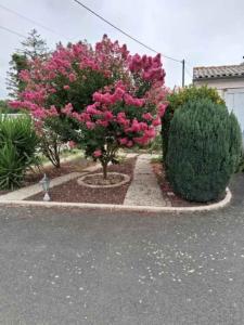For sale 7 rooms 145 m2 Vendee (85200) photo 4