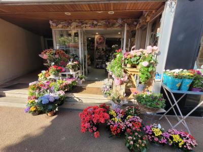 Acheter Maison  Cotes d'armor