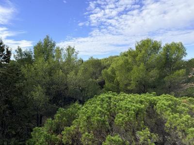 Annonce Location 3 pi�ces Appartement  83