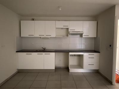 Annonce Location 4 pi�ces Maison Cornebarrieu 31