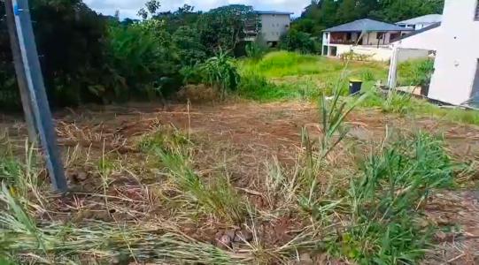 Annonce Vente Terrain Lamentin 972