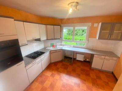 Annonce Location 6 pi�ces Maison Acigne 35