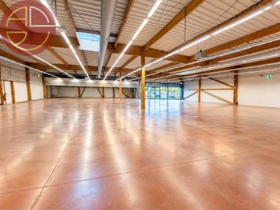 For rent Portet-sur-garonne 1230 m2 Haute garonne (31120) photo 1