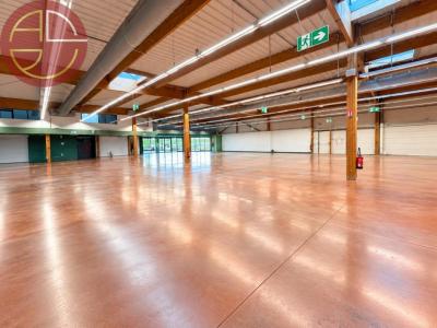 For rent Portet-sur-garonne 1230 m2 Haute garonne (31120) photo 2