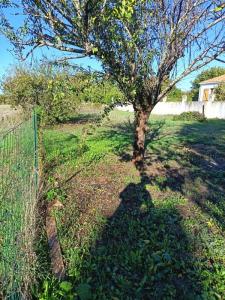 For sale Croix-chapeau 4 rooms 103 m2 Charente maritime (17220) photo 3
