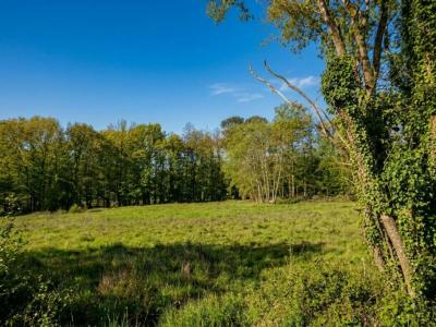 For sale Fargues-saint-hilaire 800 m2 Gironde (33370) photo 0