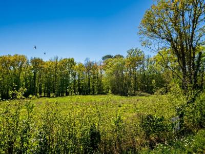 For sale Fargues-saint-hilaire 800 m2 Gironde (33370) photo 2