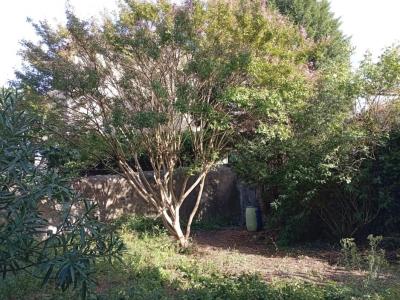 Acheter Maison Albine Tarn