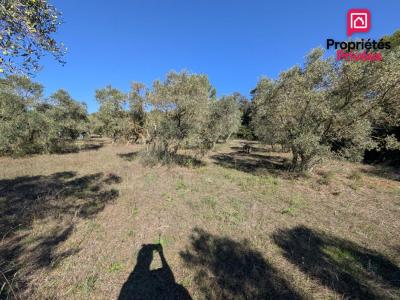 For sale Grans 3200 m2 Bouches du Rhone (13450) photo 1