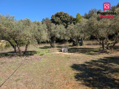 For sale Grans 3200 m2 Bouches du Rhone (13450) photo 2