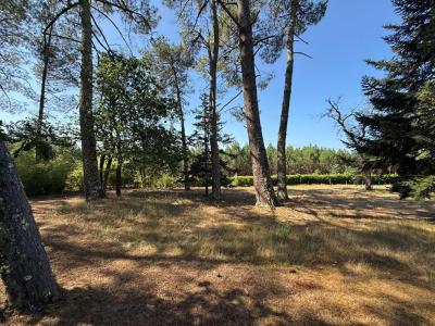 For sale Campet-et-lamolere 5 rooms 130 m2 Landes (40090) photo 3