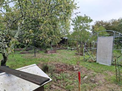 Annonce Vente Terrain Martillac 33