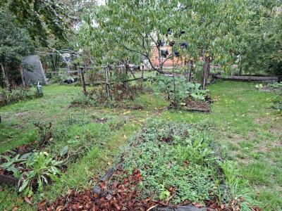 Acheter Terrain 600 m2 Martillac
