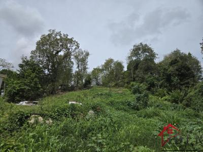 Annonce Vente Terrain Abymes 971