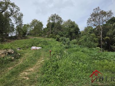 Acheter Terrain Abymes Guadeloupe