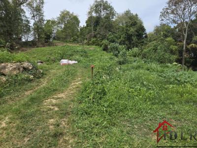 Acheter Terrain Abymes 160000 euros