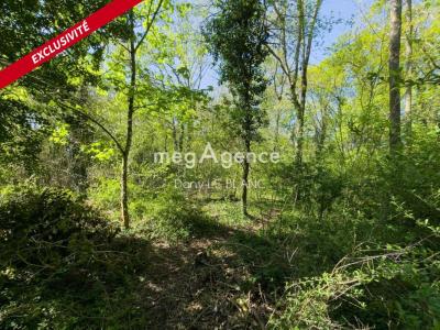 Annonce Vente Terrain Leves 28