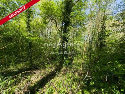 Acheter Terrain 3174 m2 Leves