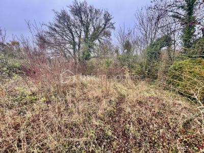 Acheter Terrain Maignelay-montigny 41000 euros