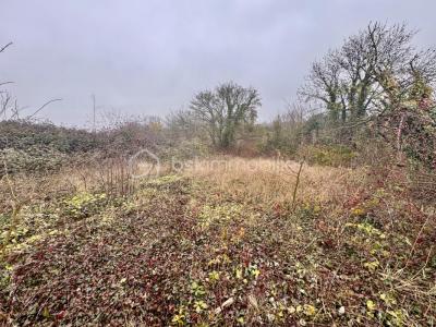 Annonce Vente Terrain Maignelay-montigny 60