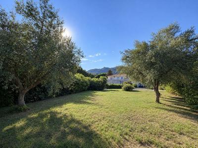 Annonce Vente 5 pi�ces Appartement Biguglia 20
