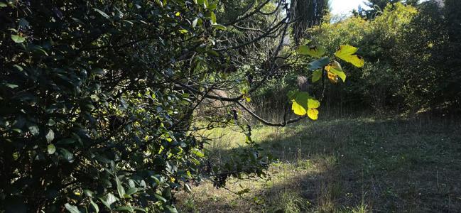 Annonce Vente Terrain Six-fours-les-plages 83