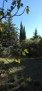 Acheter Terrain 488 m2 Six-fours-les-plages
