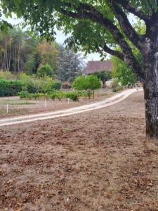 For sale Villars 5 rooms 140 m2 Dordogne (24530) photo 3
