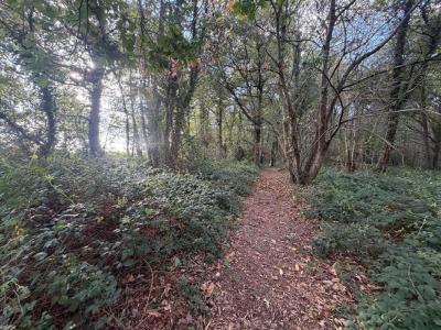 For sale Saujon 5 rooms 144 m2 Charente maritime (17600) photo 1