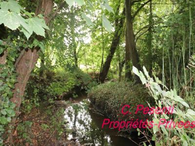 For sale Conches-sur-gondoire 9 rooms 217 m2 Seine et marne (77600) photo 3