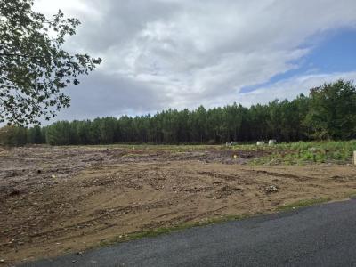 For sale Saint-avit 465 m2 Landes (40090) photo 0