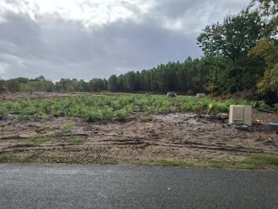 For sale Saint-avit 465 m2 Landes (40090) photo 1