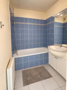 Acheter Appartement Salvetat-saint-gilles Haute garonne