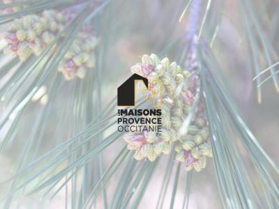 Annonce Vente 3 pi�ces Maison Greasque 13