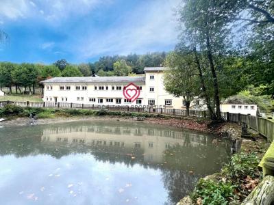 For sale Sentein 20 rooms 1200 m2 Ariege (09800) photo 0