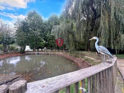 For sale Sentein 20 rooms 1200 m2 Ariege (09800) photo 1
