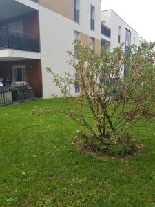 Annonce Location 3 pi�ces Appartement Lentilly 69