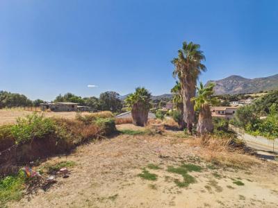 For sale Peri 2 rooms 41 m2 Corse (20167) photo 1