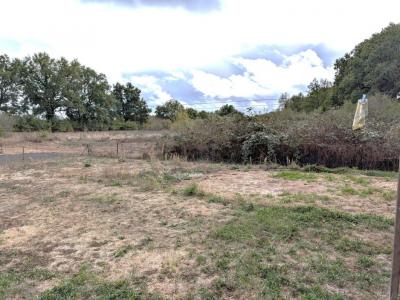 Annonce Vente 4 pi�ces Maison Chapeau 03